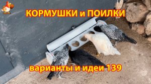 Кормушка курам из трубы обычная с крышкой понравилась несушкам ❣️🤗😂