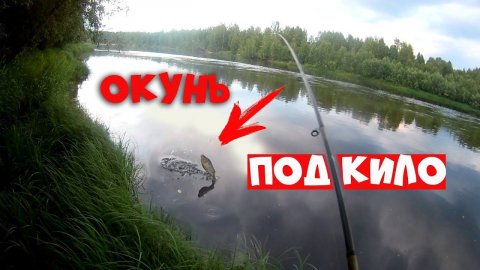 ЩУКА на Червя и подКИЛОШНЫЙ ОКУНЬ на живца. Рыбалка на р.ЛОЗЬВА. Вода прёт.Рыбалка на Урале