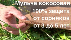 ЗАЩИТА ОТ СОРНЯКОВ до 5 ЛЕТ!!! БЕЗ ХИМИИ!!! Мульча из кокосового волокна