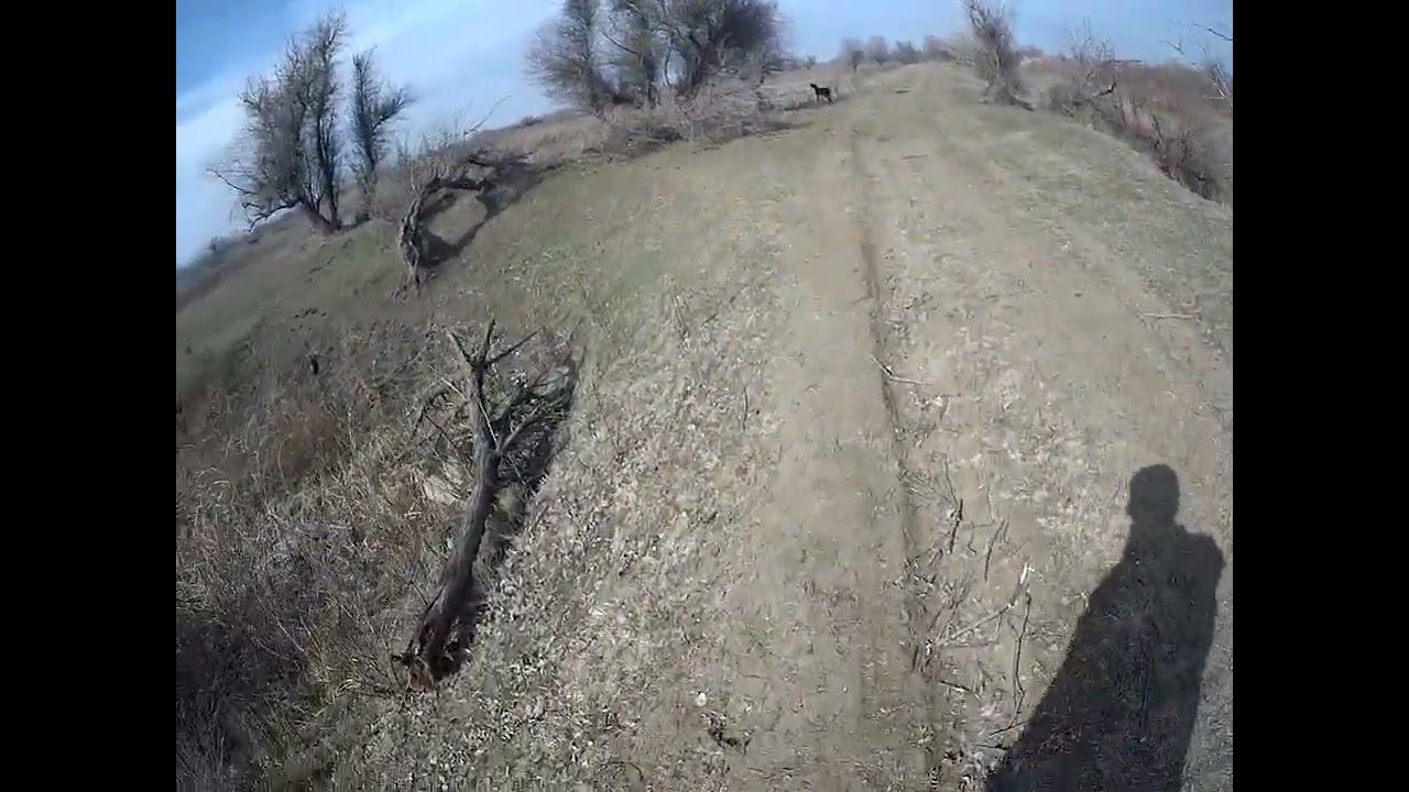 13.03.2025 Всё сломал! ЧТО ДЕЛАТЬ? : ЛПХ В ОПАСНОСТИ смотреть онлайн