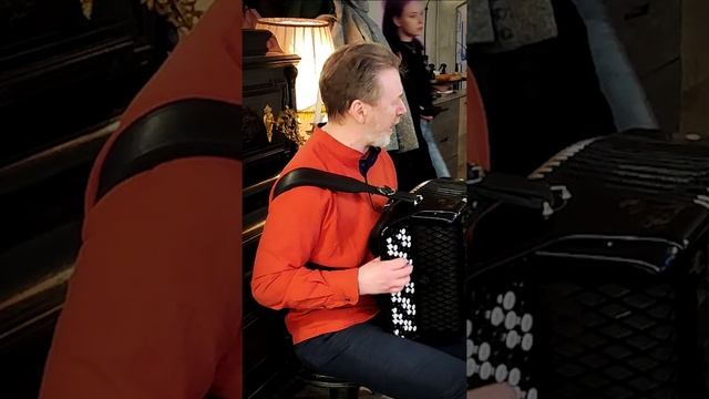 Смуглянка #баянист
