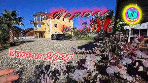 #Абхазия2025🌴29 апреля. Выпуск №2016🌡вчера +16°🌡ночью  +7°🐬море +13,5°❗ХУдЕЕМ с С.В. = 86,25 кг