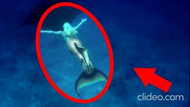 страшные истории реальные