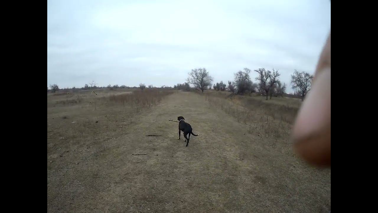 11.02.2025 ЧТО ДЕЛАТЬ? : ЛПХ В ОПАСНОСТИ смотреть онлайн