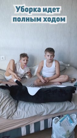 Как Филипп и Лев делают уборку