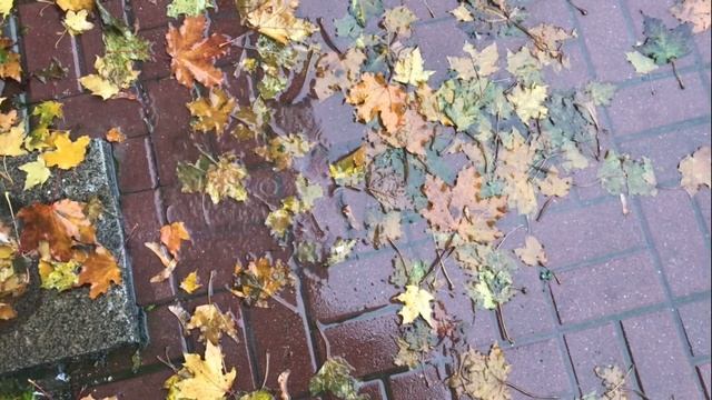 Кастры(чнік) октября смотреть онлайн