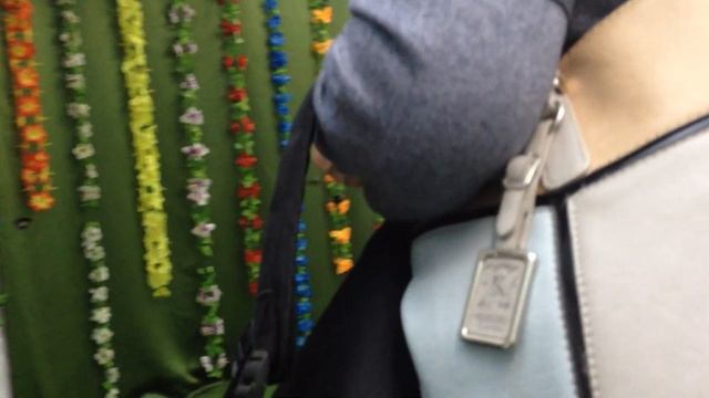 выставка тропических бабочек. Тюмень. Часть 2. смотреть онлайн