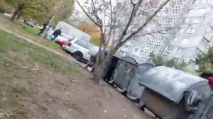 Цыгани роются в мусорках. Осень 2022 в Киеве.