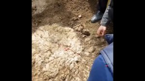 Курлеме - блюда из ногайской кухни