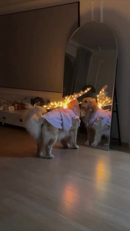 ФЕЯ ЖИВЕТ В КАЖДОМ ИЗ НАС