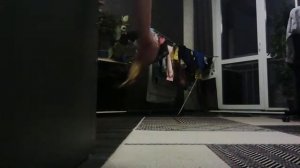 киборг Алёнка