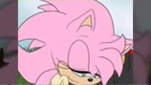 Сильвер и Блейз Соник и Эми Шедоу и Аврора Соник и Салли Шедоу и Эми Шедоу и Салли Сильвер и Сильви