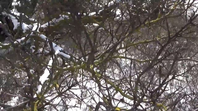 ПИСЬМО ДОМОЙ смотреть онлайн