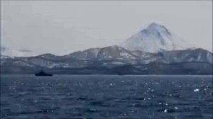 7 гимназия Документальный фильм:  "Урок длиною в жизнь",  автор Костина Анастасия.