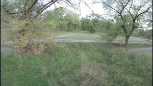 DARWIN и дубы в Топольках 22.10.2022 (1)