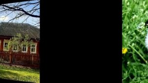 Позитивная весна.mp4