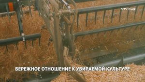 Уборка рапса: жатка Honey Bee и комбайн Ростсельмаш