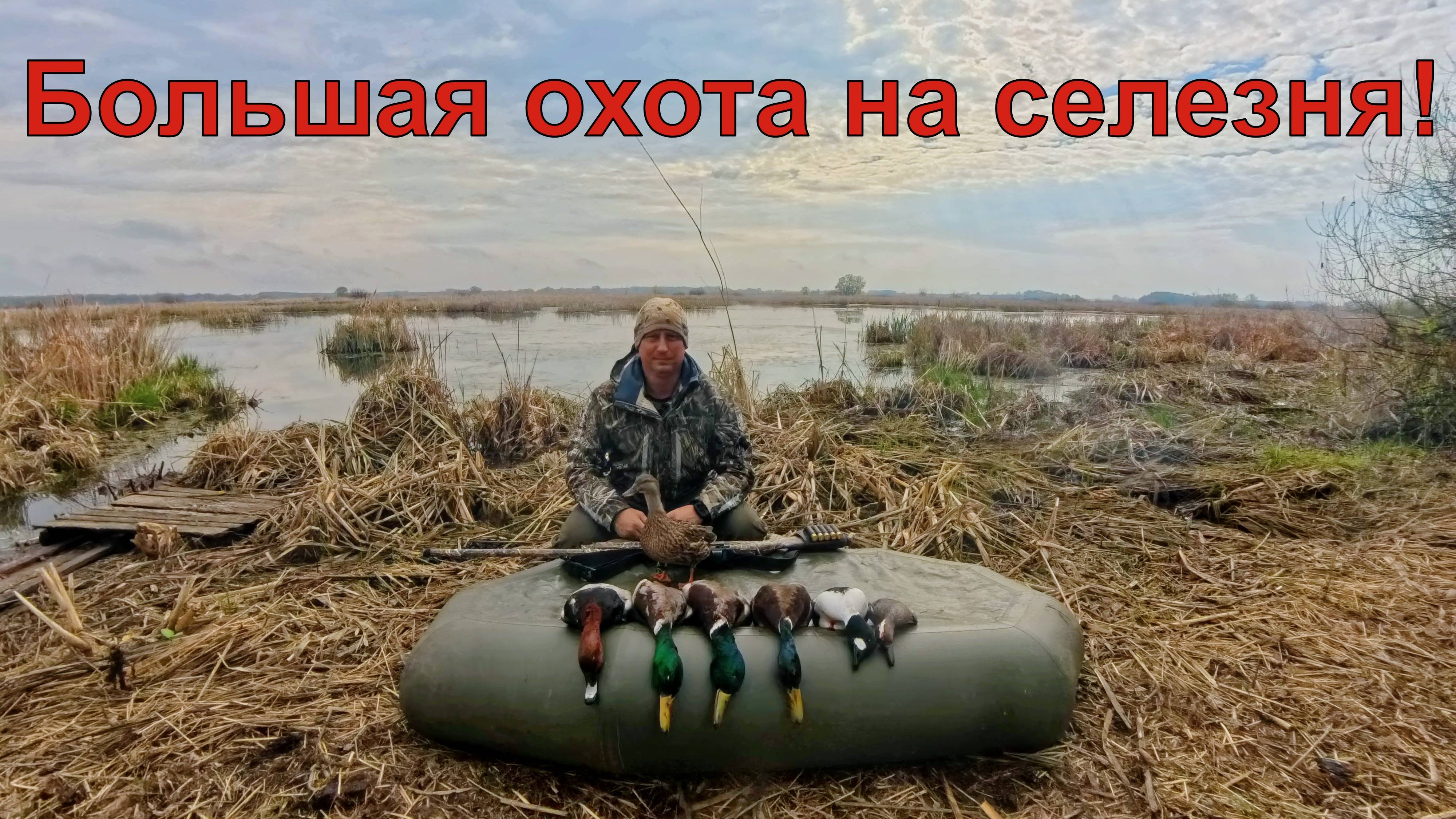 БОЛЬШАЯ ОХОТА на селезня утки с подсадной! Много трофеев!