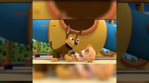 Гонщик и скай ЛЮБОВЬ