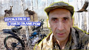 Электротяга рулит. Лоси и косули потеряли осторожность. Орлан белохвост