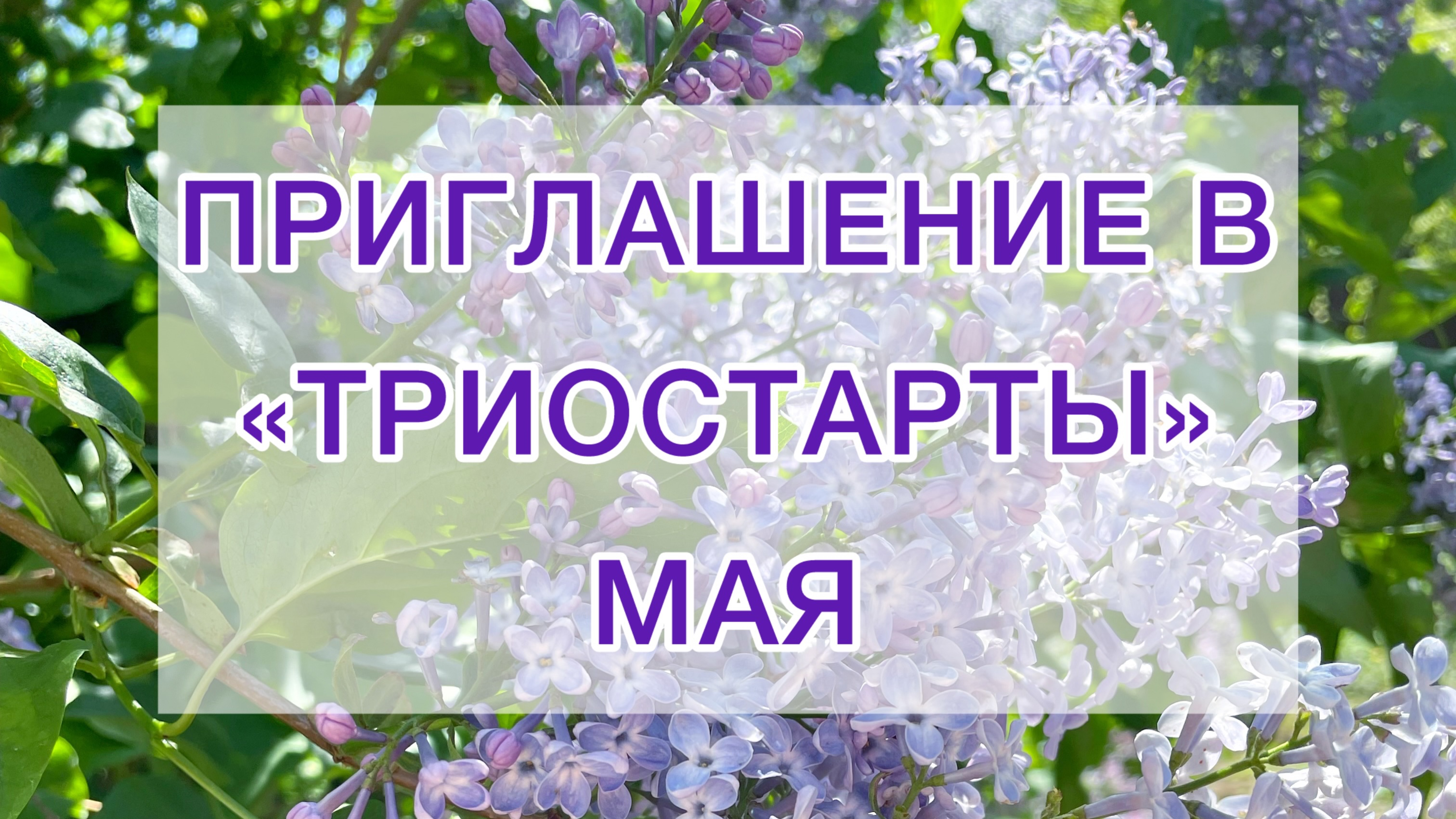 Приглашение в СП «Триостарты» МАЯ #триостарты2025 #вязальные_триостарты