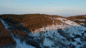 Продаю в Горном Алтае Базу отдыха и мараловодческую ферму