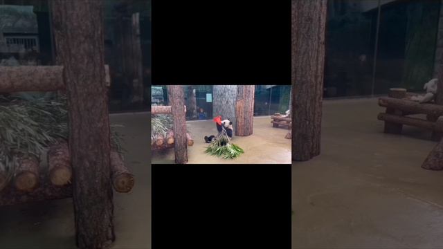 Играет наша милая Катюшка! И мы умиляемся! 😊🥰🤗