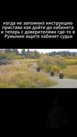 лайк если было
