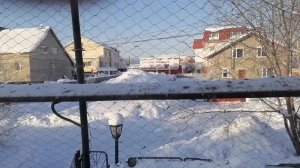 Восьмое февраля царицынские и бакинские голуби
