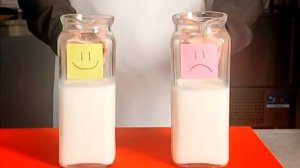 Изучаем молочные продукты