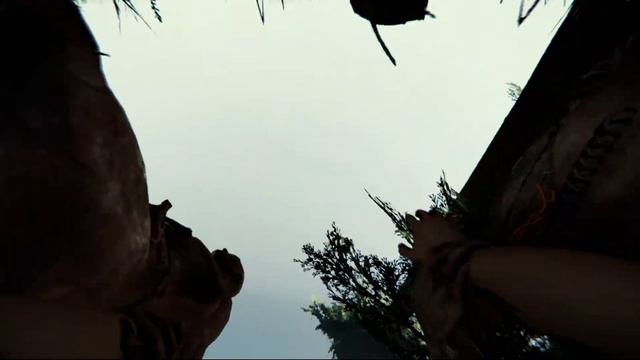 1 часть  the forest