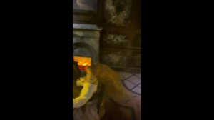 Музей МАГИИ на Арбате в МОСКВЕ | Развлекательные шоу и личное применение фокусов