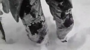 Лапенко. СДОХНИ ИЛИ УМРИ. Снег.