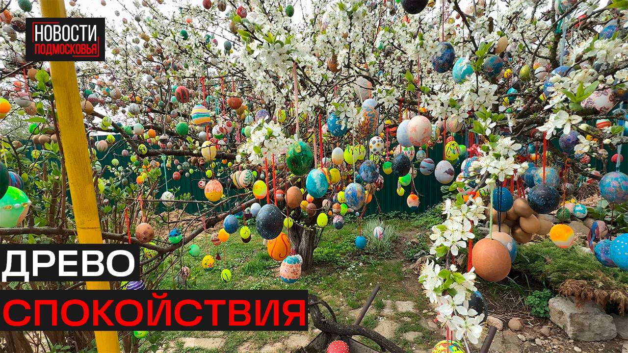 В Дедовске в честь Пасхи украсили дерево 4500 расписными яйцами