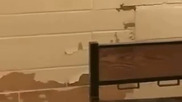 Fulton State Hospital смотреть онлайн