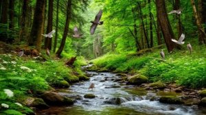 Звуки природы. Шум воды и пение птиц