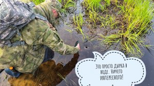 Апрельско-майский поход на болото за клюквой. Пасём с Псом Кубиком Артёма и Машу на лесных полянках