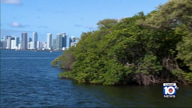 South Florida activists hope Bird Key doesn’t fly off to developer after being listed for sale смотреть онлайн