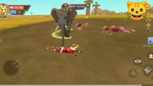 4 способа как выбить мист скин в вилд крафт