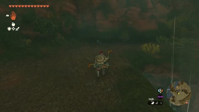 Zelda Tears of the kingdom (Yuzu-EA-3798) на Русском