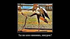 демотиваторы свежие, демотиваторы смешные свежие, смешные демотиваторы 2018, демотиваторы свежие 20