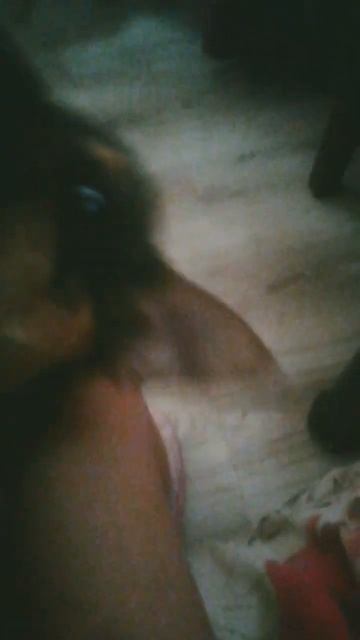 Сабака укусила за шию смотреть онлайн