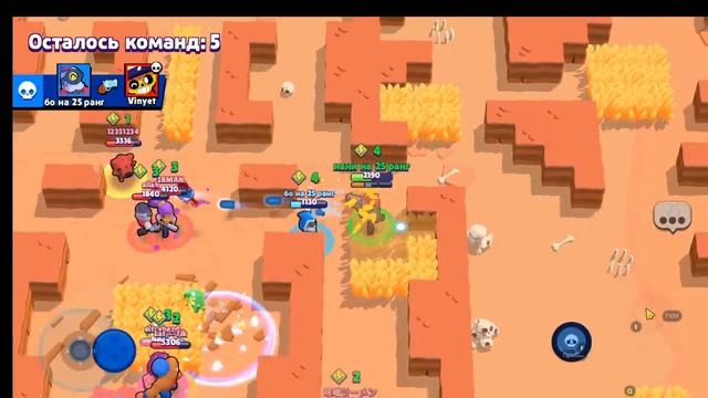 проэкт с ильёй!