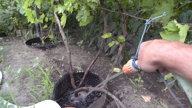 Хлор для бассейна (AquaDoctor C 60) смотреть онлайн