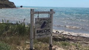 Мидийно-устричная ферма Биссус, Судак, Крым, мыс Меганом | Вкусные и свежие устрицы в Крыму!