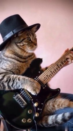 Кот музыкант