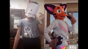 Фурри в лайке-это шедевр. #1 /пробный выпуск/