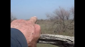 31.03.2025 ЧТО ДЕЛАТЬ? : ЛПХ В ОПАСНОСТИ