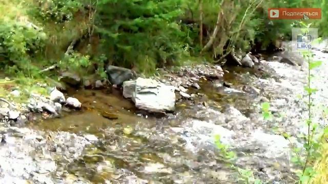 [---Моё первое видео в горах---] смотреть онлайн