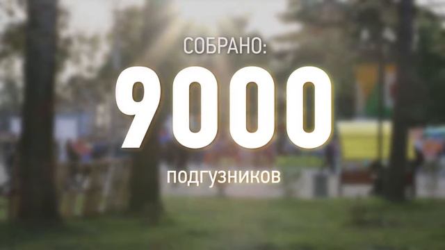 Фестиваль "Добрый Хабаровск" смотреть онлайн